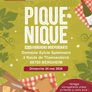 Pique-Nique chez le vigneron