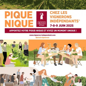 Pique-Nique chez le vigneron