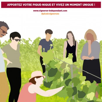 Pique-Nique chez le vigneron