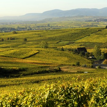 Prenez date pour les futurs évènement de l'année du domaine