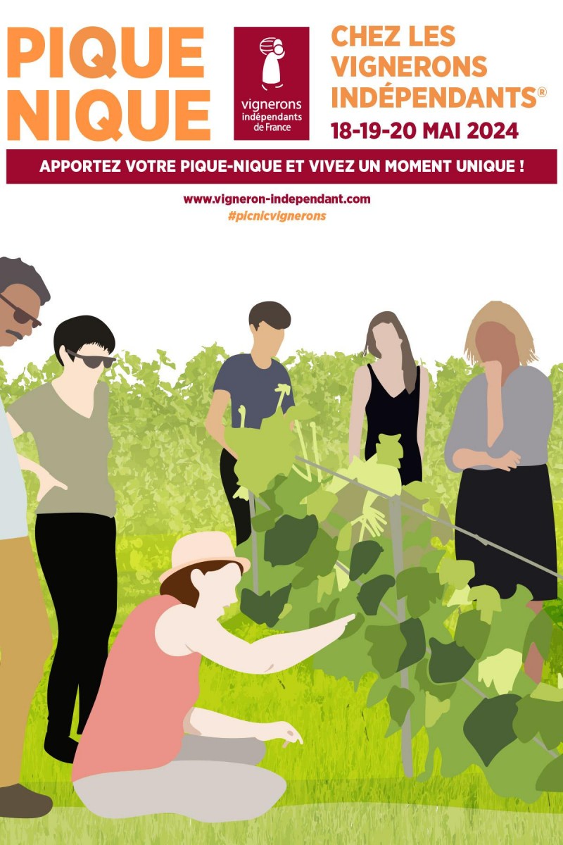 Pique-Nique chez le vigneron