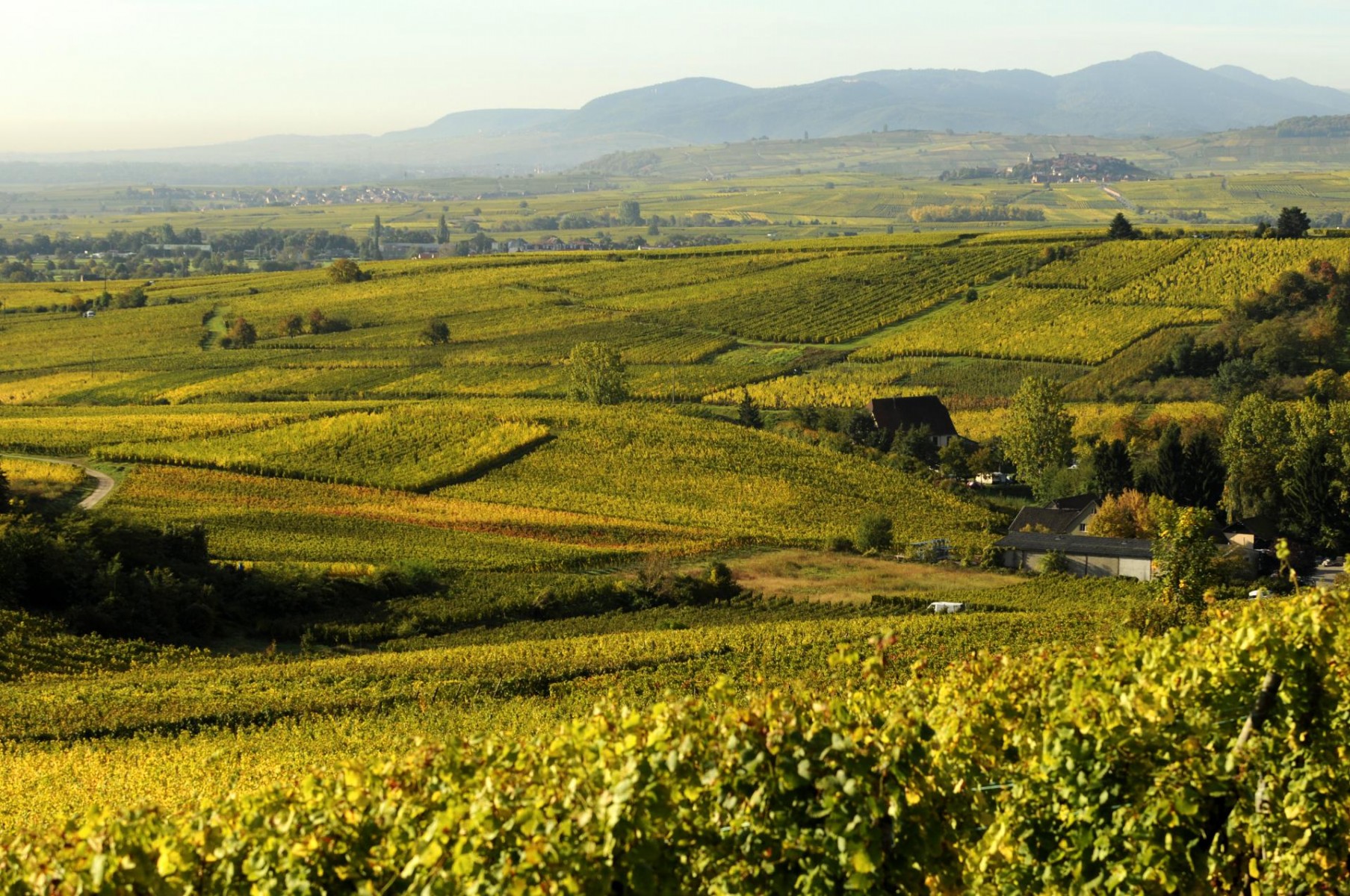 Prenez date pour les futurs évènement de l'année du domaine
