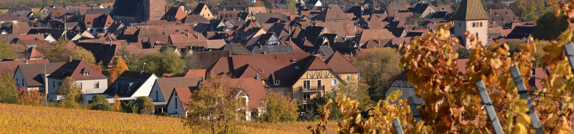Village de Bergheim