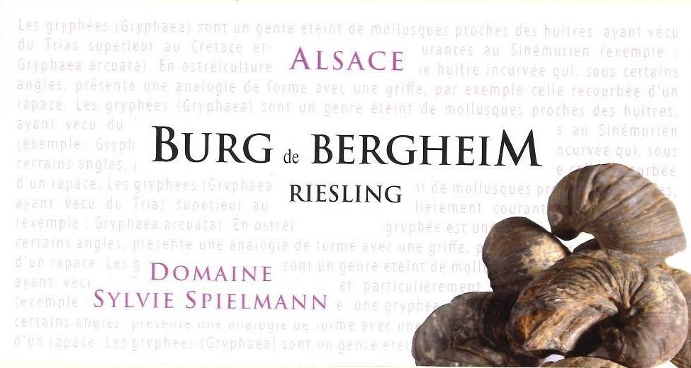 Alsace Bergheim Terroir